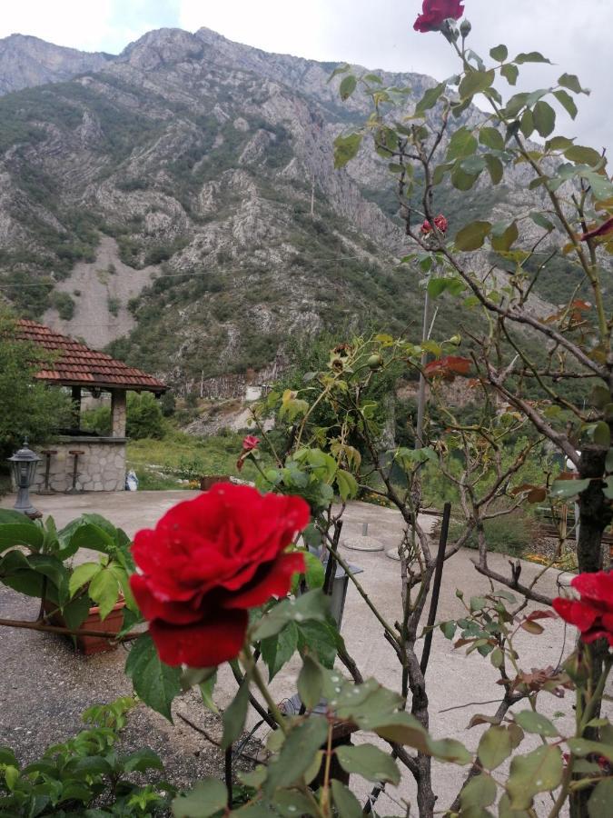Visit Dreznica Villa Mostar Exteriör bild